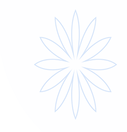 开云(中国)Kaiyun·官方网站-登录入口